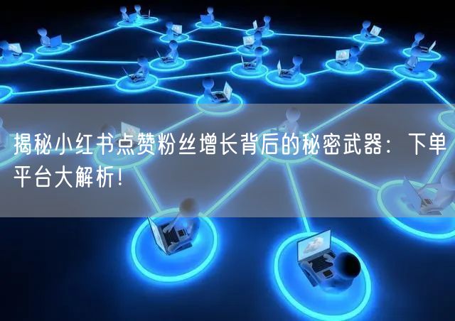 揭秘小红书点赞粉丝增长背后的秘密武器:下单平台大解析!