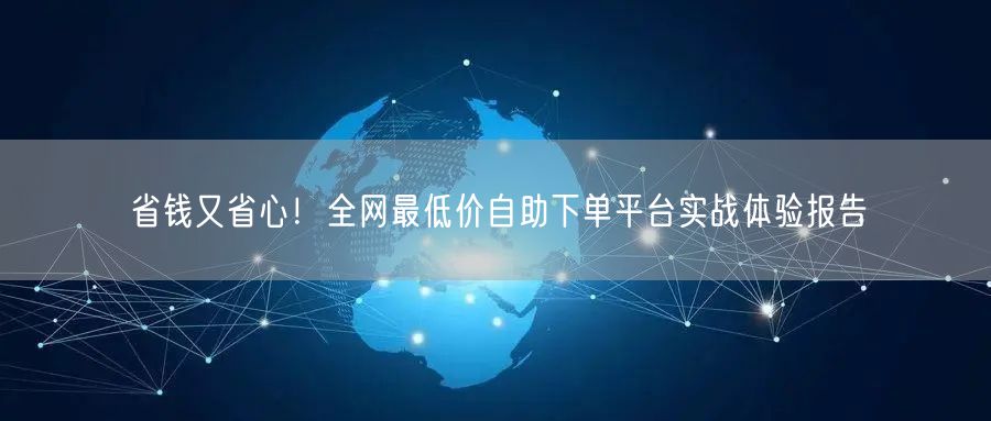省钱又省心!全网最低价自助下单平台实战体验报告