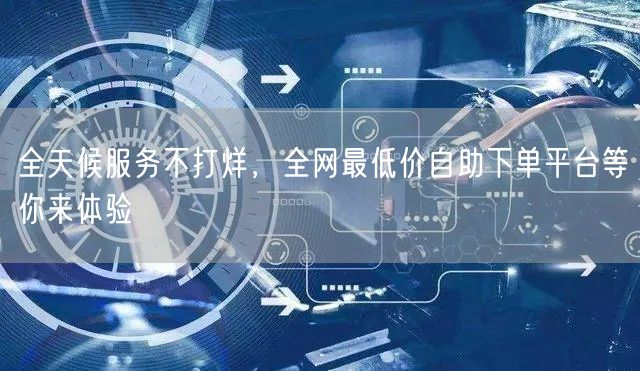 全天候服务不打烊,全网最低价自助下单平台等你来体验