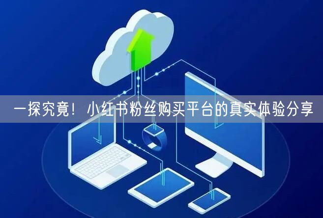 一探究竟！小红书粉丝购买平台的真实体验分享