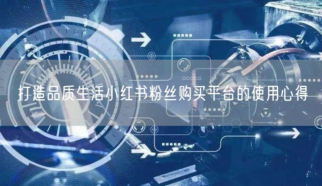 打造品质生活小红书粉丝购买平台的使用心得