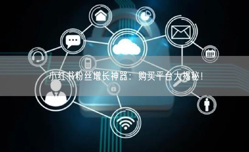 小红书粉丝增长神器：购买平台大揭秘！
