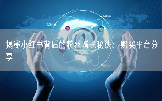 揭秘小红书背后的粉丝增长秘诀：购买平台分享