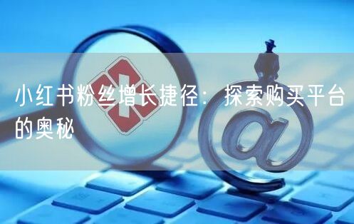 小红书粉丝增长捷径：探索购买平台的奥秘