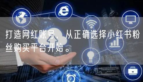 打造网红账号，从正确选择小红书粉丝购买平台开始。