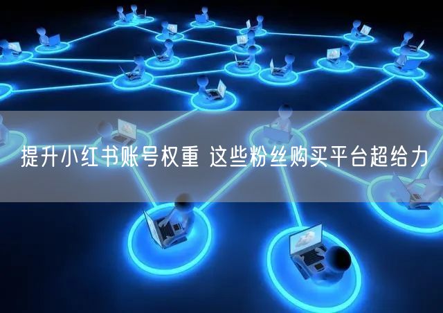 提升小红书账号权重 这些粉丝购买平台超给力
