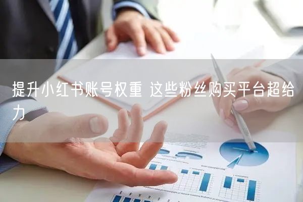 提升小红书账号权重 这些粉丝购买平台超给力
