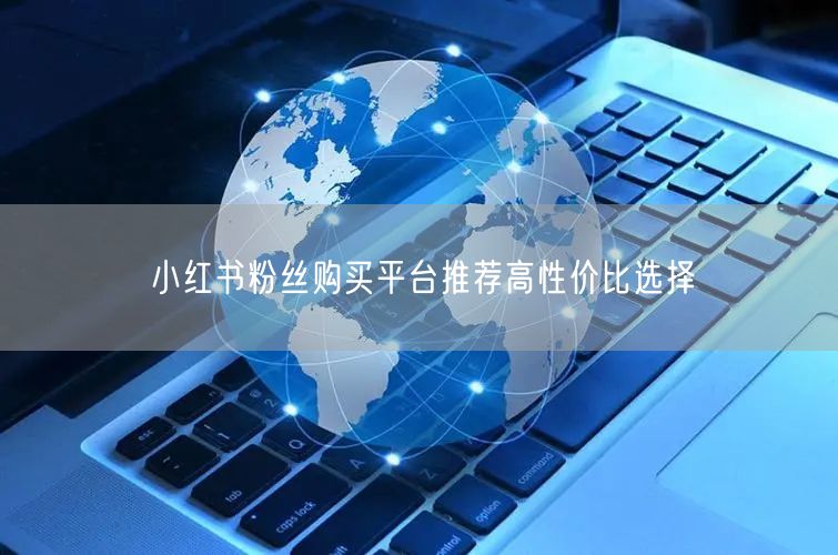 小红书粉丝购买平台推荐高性价比选择